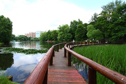 Каскад прудов в Воронцовском парке